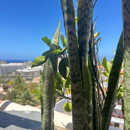 Chic & Artistic Los Cristianos Apartment *