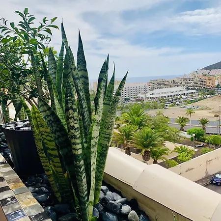 Chic & Artistic Los Cristianos * 洛斯克里斯蒂亚诺斯